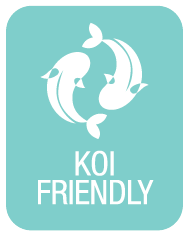 KOI FRIENDLY