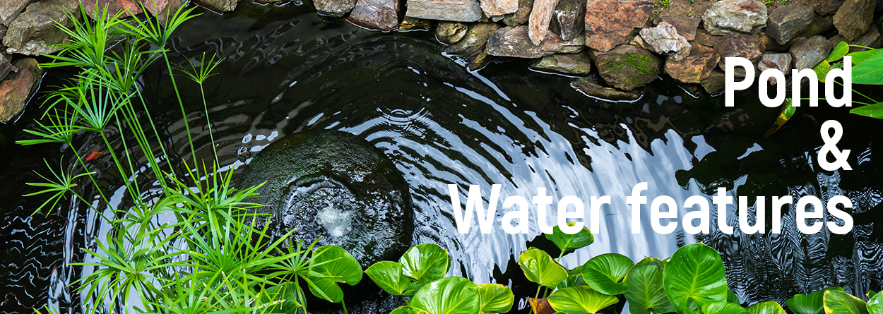 Pond and water features