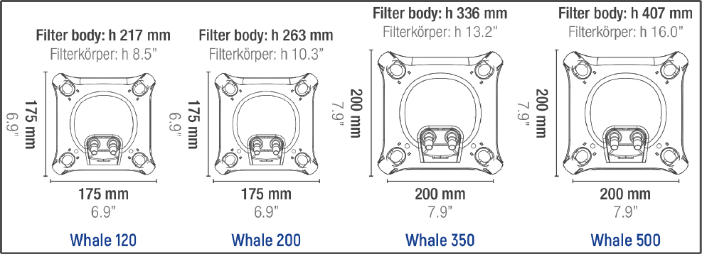 Whale%20misure