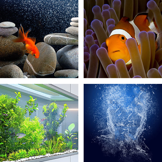 SOLUTIONS FOR AQUARISTICS NEW