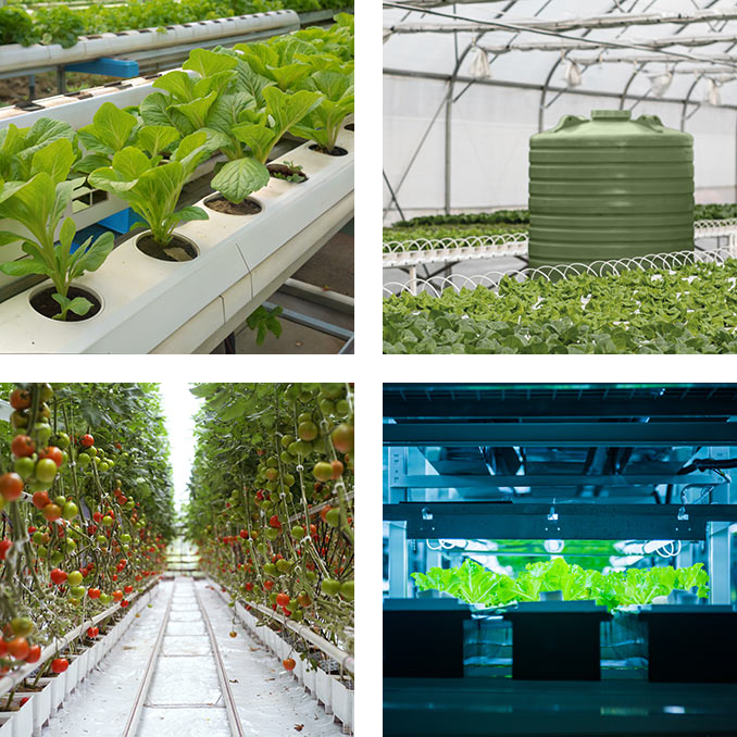 SOLUTIONS FOR HYDROPONIC SYSTEMS
